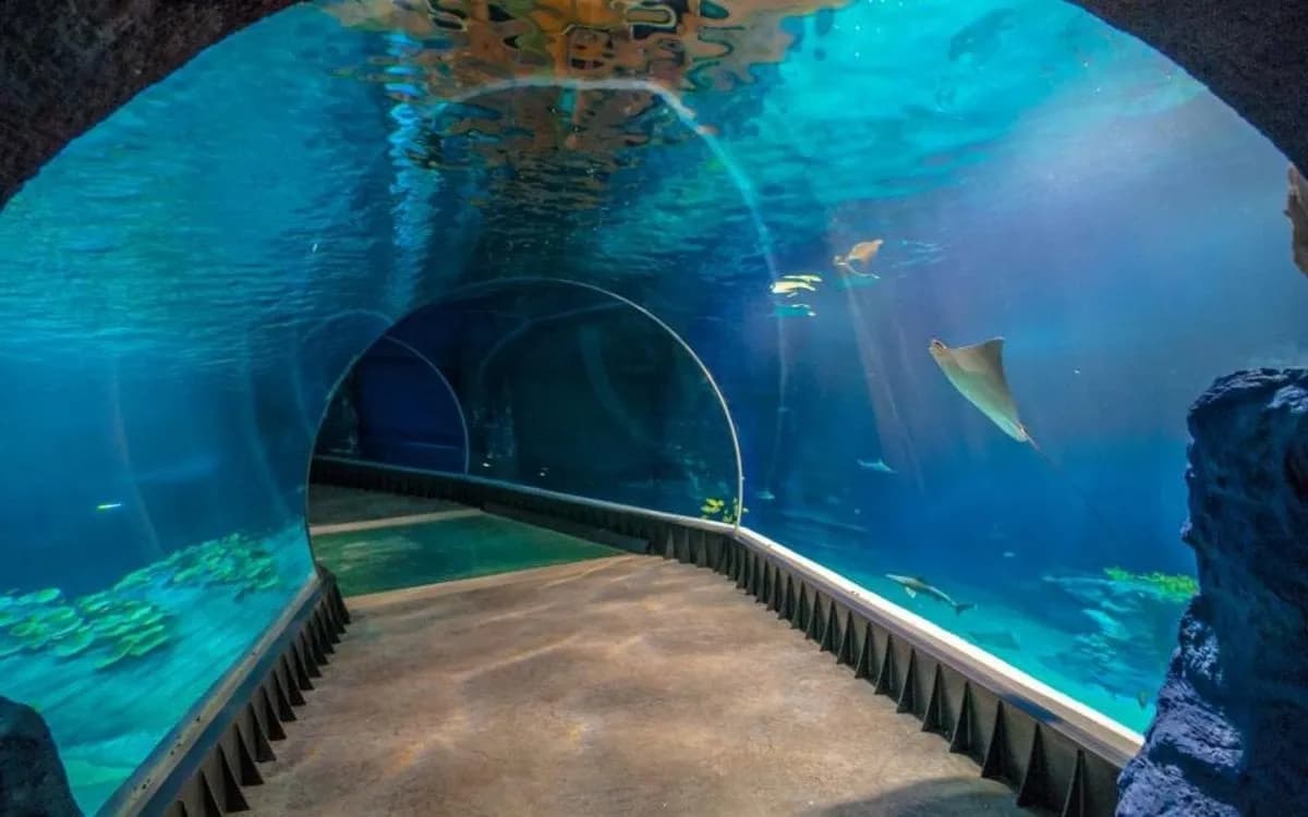 Oceanarium 3D Warszawa – nieaktualne informacje o atrakcji Oceanarium 3D Warszawa – nieaktualne informacje o atrakcji