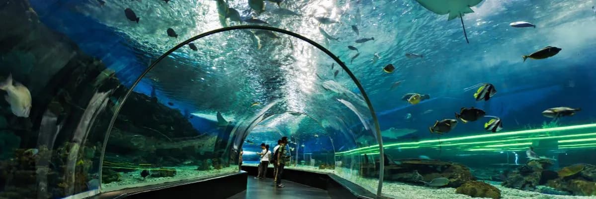 Lisbońskie oceanarium: co warto zobaczyć i jak się przygotować Lisbońskie oceanarium: co warto zobaczyć i jak się przygotować
