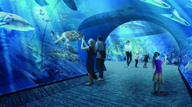 Oceanarium Kraków: Dlaczego nie ma dużego oceanarium w mieście? Oceanarium Kraków: Dlaczego nie ma dużego oceanarium w mieście?