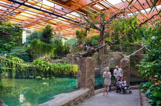 Afrykarium Wrocław - odkryj niezwykłe życie morskie i godziny otwarcia Afrykarium Wrocław - odkryj niezwykłe życie morskie i godziny otwarcia