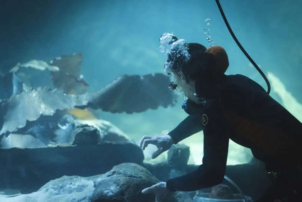 Gdynia atrakcje oceanarium - odkryj fascynujący świat morskich stworzeń Gdynia atrakcje oceanarium - odkryj fascynujący świat morskich stworzeń