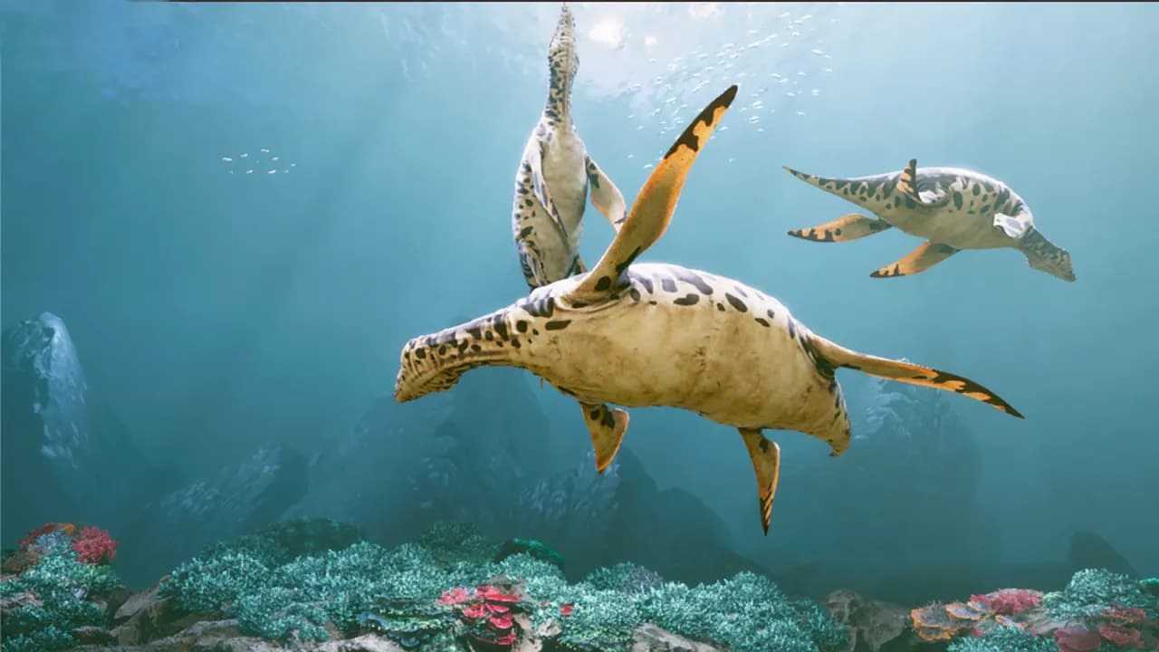Oceanarium Małopolska - atrakcje, godziny otwarcia i wyjątkowe doświadczenia Oceanarium Małopolska - atrakcje, godziny otwarcia i wyjątkowe doświadczenia