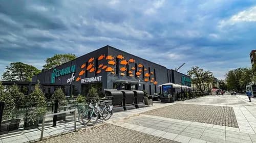 Restauracja Oceanarium Międzyzdroje - Smakuj wyjątkowe dania w pięknym otoczeniu Restauracja Oceanarium Międzyzdroje - Smakuj wyjątkowe dania w pięknym otoczeniu