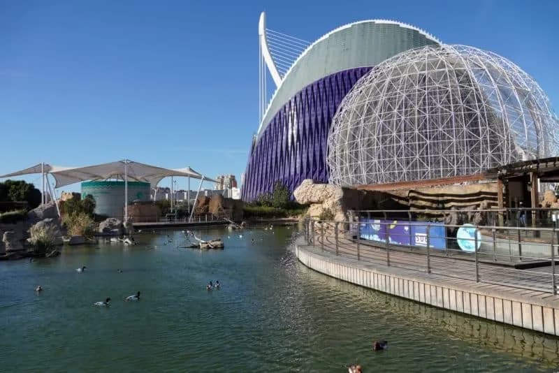 Oceanarium Walencja – Czego nie przegapić i jak zaoszczędzić na biletach Oceanarium Walencja – Czego nie przegapić i jak zaoszczędzić na biletach