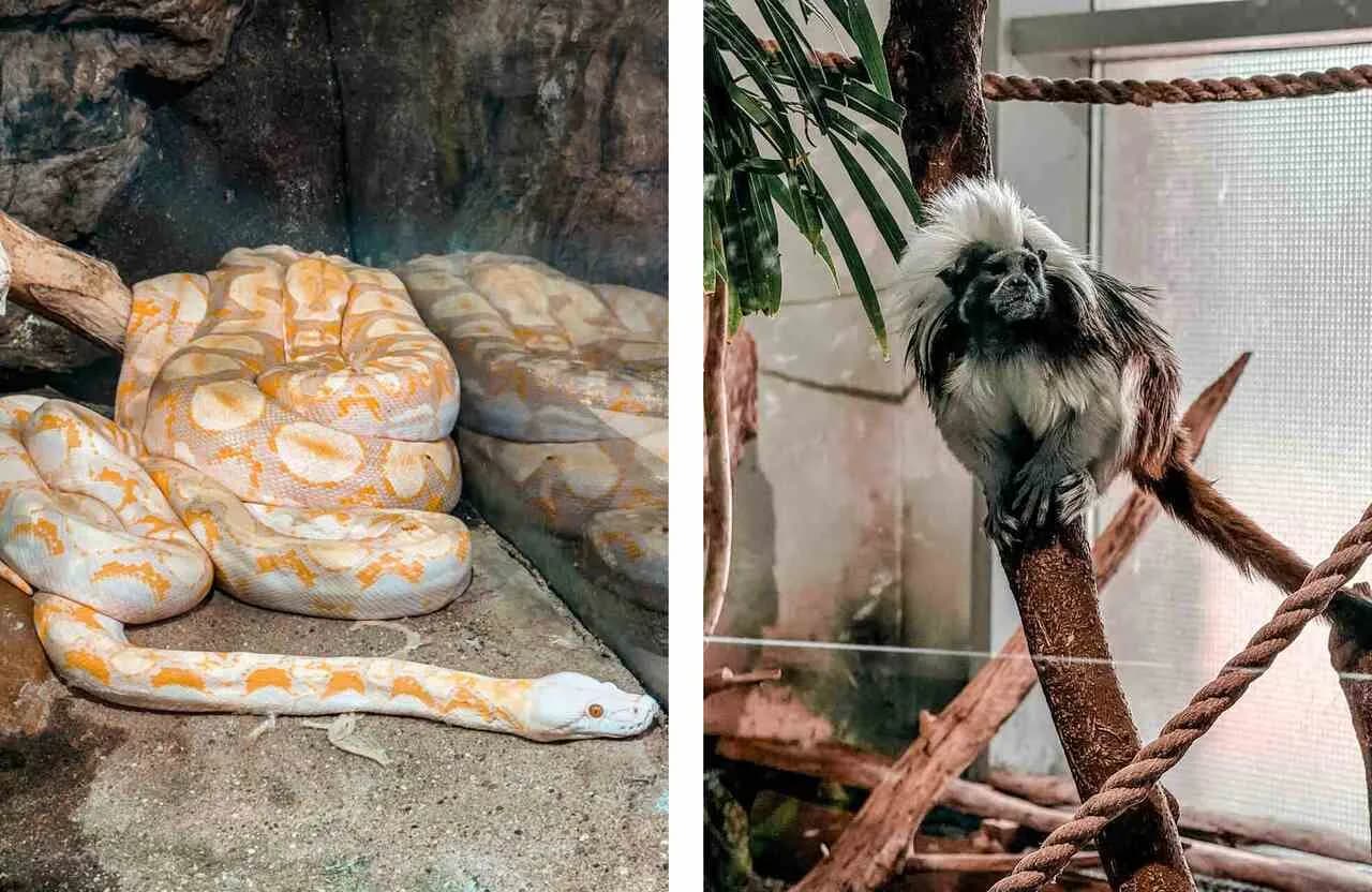 Oceanarium węgry - najlepsze atrakcje i tajemnice w Budapeszcie Oceanarium węgry - najlepsze atrakcje i tajemnice w Budapeszcie