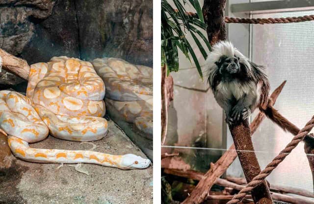 Oceanarium węgry - najlepsze atrakcje i tajemnice w Budapeszcie Oceanarium węgry - najlepsze atrakcje i tajemnice w Budapeszcie