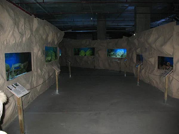 Oceanarium Warszawa - Gdzie zobaczyć morskie atrakcje i wystawy? Oceanarium Warszawa - Gdzie zobaczyć morskie atrakcje i wystawy?
