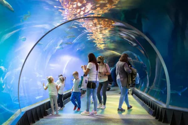 Jak wykorzystać bon turystyczny w oceanarium Wrocław bez problemów Jak wykorzystać bon turystyczny w oceanarium Wrocław bez problemów