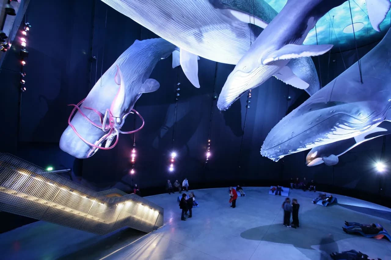 Kołobrzeg atrakcje dla dzieci: oceanarium, które zachwyci maluchy Kołobrzeg atrakcje dla dzieci: oceanarium, które zachwyci maluchy
