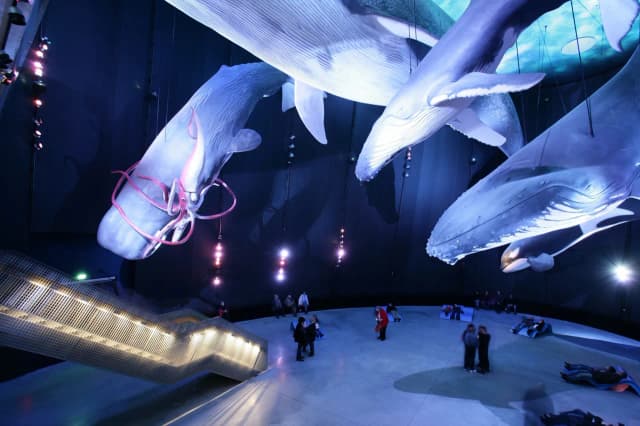 Kołobrzeg atrakcje dla dzieci: oceanarium, które zachwyci maluchy Kołobrzeg atrakcje dla dzieci: oceanarium, które zachwyci maluchy