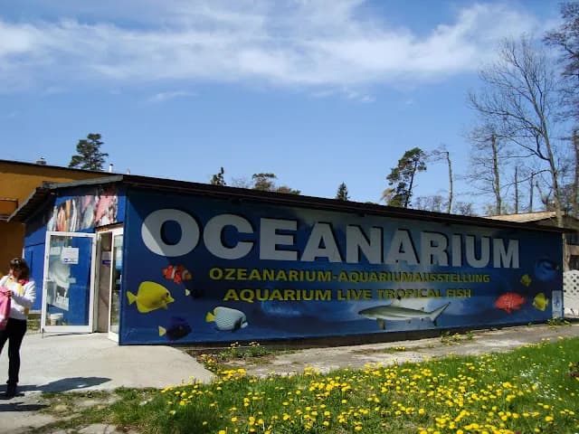 Oceanarium Mielno: Czy to miejsce już nie działa i co dalej? Oceanarium Mielno: Czy to miejsce już nie działa i co dalej?