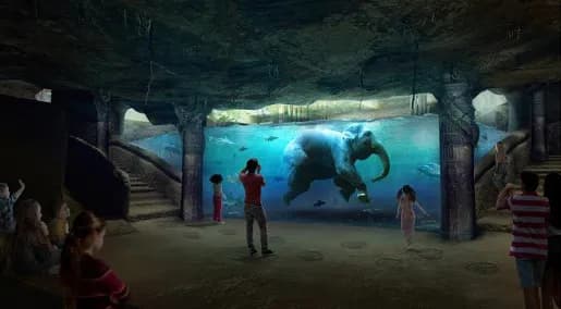 Oceanarium w Łodzi - odkryj fascynujący świat podwodnych stworzeń Oceanarium w Łodzi - odkryj fascynujący świat podwodnych stworzeń