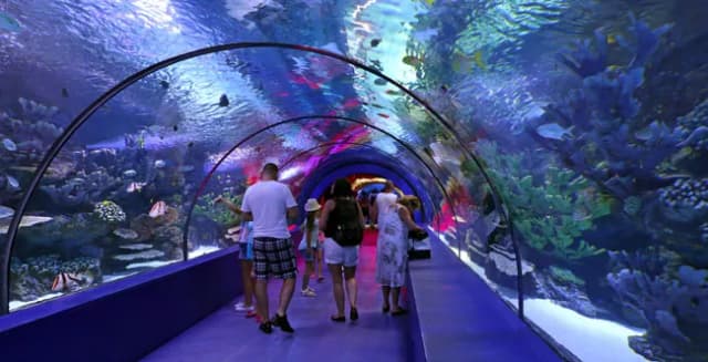Olsztyn nie ma oceanarium – poznaj najbliższe atrakcje w Gdyni Olsztyn nie ma oceanarium – poznaj najbliższe atrakcje w Gdyni