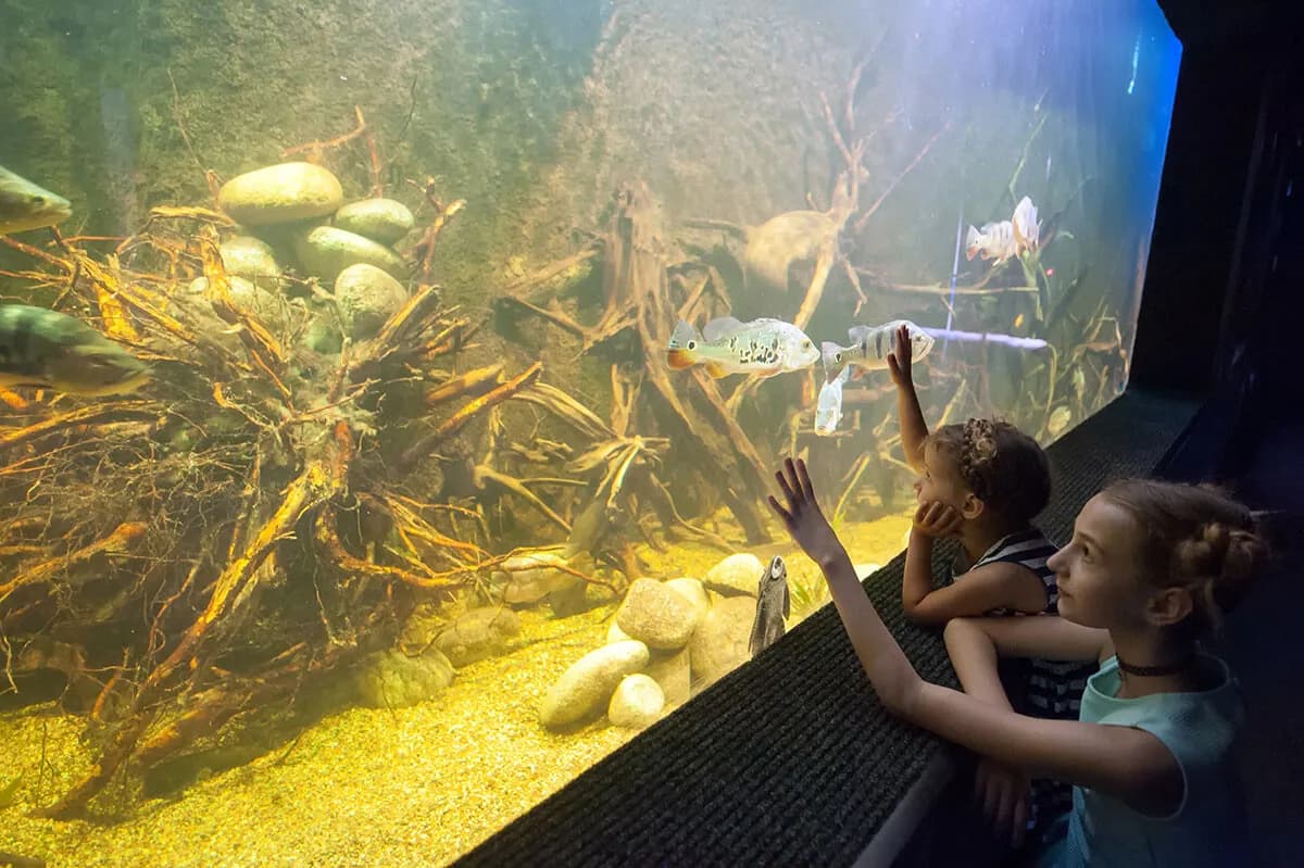 Oceanarium Zagnańsk - poznaj wyjątkowe atrakcje i godziny otwarcia Oceanarium Zagnańsk - poznaj wyjątkowe atrakcje i godziny otwarcia