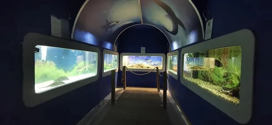 Oceanarium Łeba - Fascynujące morskie stworzenia i edukacja dla każdego Oceanarium Łeba - Fascynujące morskie stworzenia i edukacja dla każdego