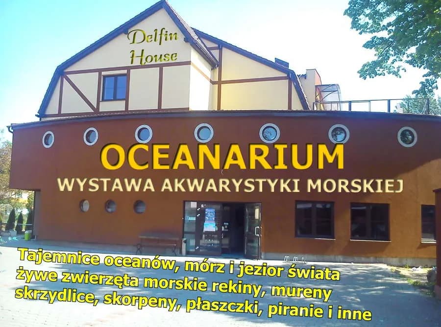 Oceanarium Łeba opinie – czy warto tam się wybrać? Sprawdź recenzje Oceanarium Łeba opinie – czy warto tam się wybrać? Sprawdź recenzje