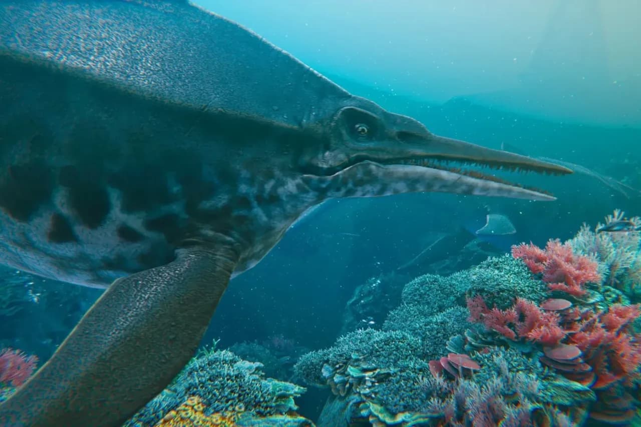Krasiejów oceanarium: Zobacz niesamowite prehistoryczne stworzenia Krasiejów oceanarium: Zobacz niesamowite prehistoryczne stworzenia