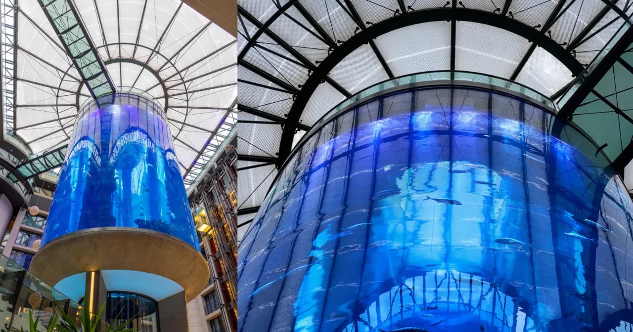 AquaDom oceanarium Berlin - tragiczne wydarzenia i plany na przyszłość AquaDom oceanarium Berlin - tragiczne wydarzenia i plany na przyszłość