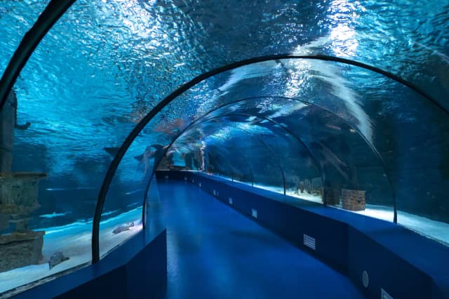 Oceanarium Antalya – Niezapomniane atrakcje i informacje dla odwiedzających Oceanarium Antalya – Niezapomniane atrakcje i informacje dla odwiedzających