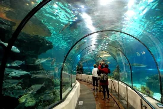 Oceanarium Rzeszów – brak oficjalnego miejsca, sprawdź alternatywy Oceanarium Rzeszów – brak oficjalnego miejsca, sprawdź alternatywy