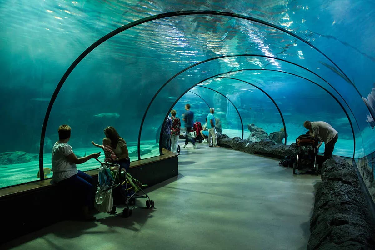 Oceanarium w Holandii: Niezapomniane atrakcje w Rotterdamie i Scheveningen Oceanarium w Holandii: Niezapomniane atrakcje w Rotterdamie i Scheveningen