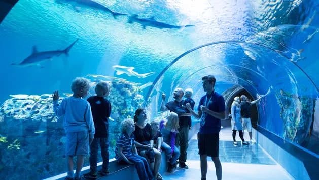 Oceanarium Bydgoszcz - co warto zobaczyć i dlaczego nie przegapić Oceanarium Bydgoszcz - co warto zobaczyć i dlaczego nie przegapić