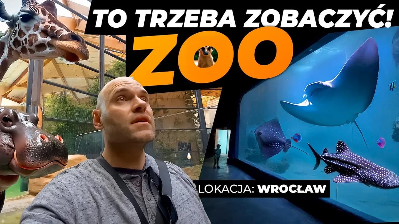 Czy afrykarium i oceanarium to to samo? Poznaj zaskakujące różnice Czy afrykarium i oceanarium to to samo? Poznaj zaskakujące różnice