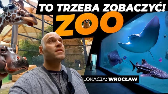 Czy afrykarium i oceanarium to to samo? Poznaj zaskakujące różnice Czy afrykarium i oceanarium to to samo? Poznaj zaskakujące różnice
