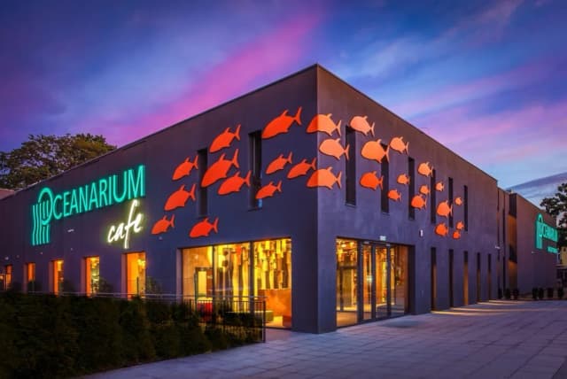 Oceanarium w Międzyzdrojach - atrakcje, godziny otwarcia i ceny biletów Oceanarium w Międzyzdrojach - atrakcje, godziny otwarcia i ceny biletów