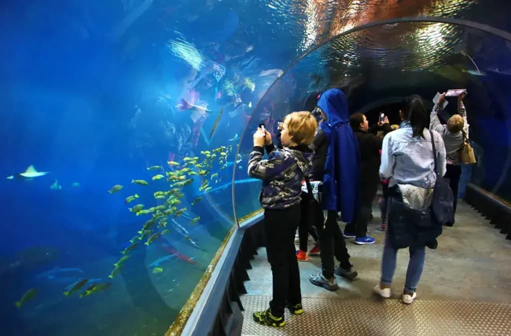 Oceanarium Wrocław godziny otwarcia – uniknij rozczarowania podczas wizyty Oceanarium Wrocław godziny otwarcia – uniknij rozczarowania podczas wizyty