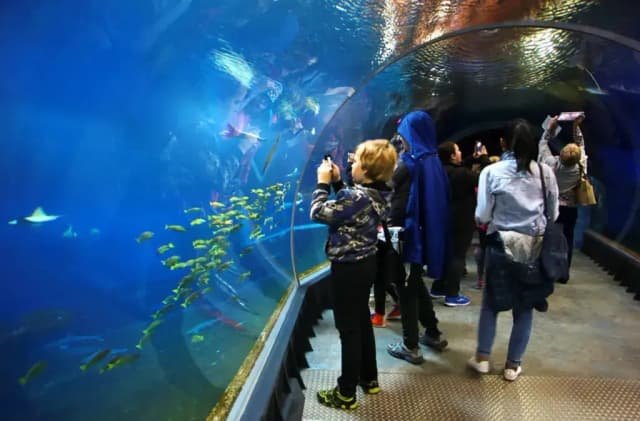 Oceanarium Wrocław godziny otwarcia – uniknij rozczarowania podczas wizyty Oceanarium Wrocław godziny otwarcia – uniknij rozczarowania podczas wizyty