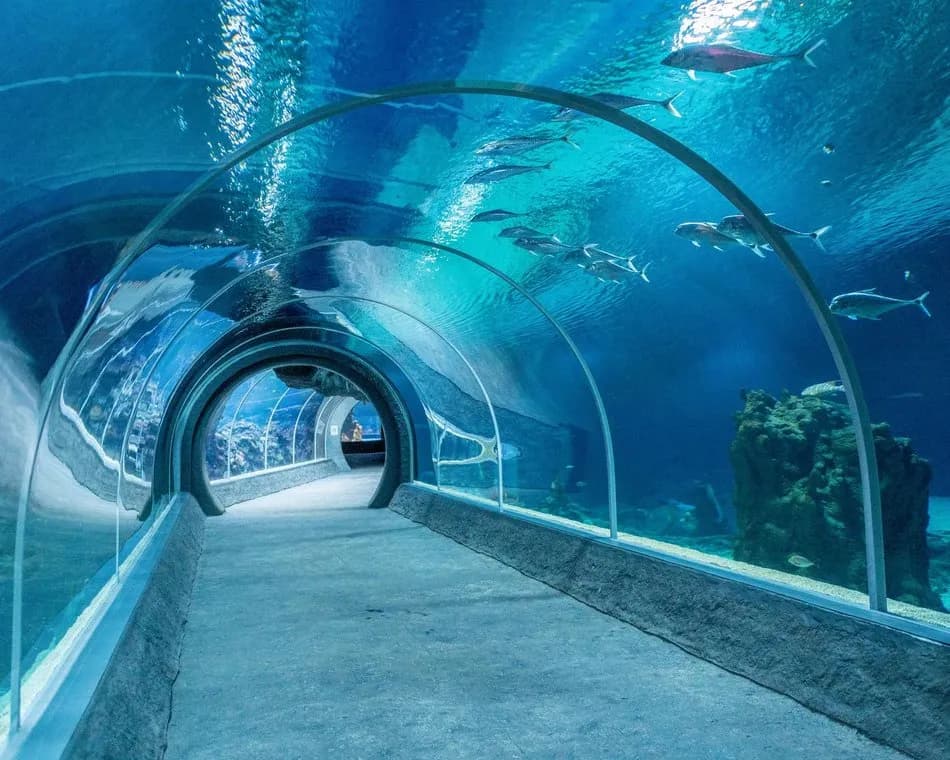 Oceanarium Łódź - Fascynujące atrakcje i unikalne doświadczenia Oceanarium Łódź - Fascynujące atrakcje i unikalne doświadczenia