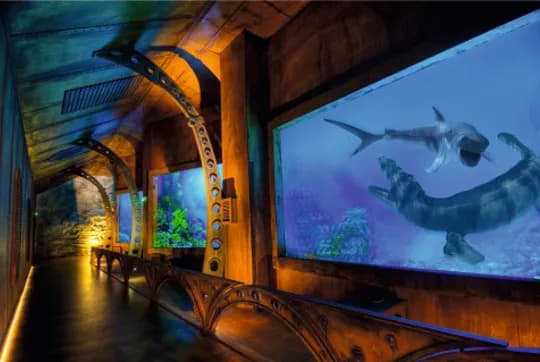 Oceanarium Warszawa Blue City – aktualne informacje i atrakcje Oceanarium Warszawa Blue City – aktualne informacje i atrakcje