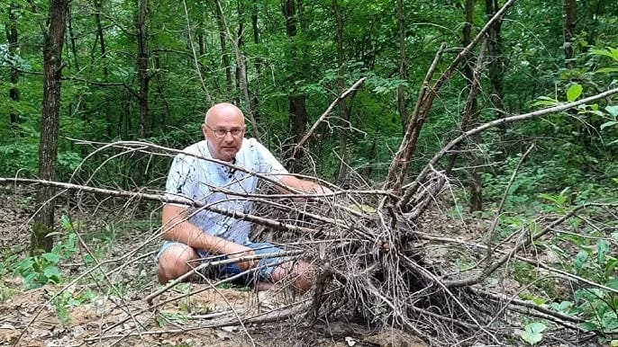 Skąd wziąć korzeń do akwarium? Odkryj najlepsze źródła i metody Skąd wziąć korzeń do akwarium? Odkryj najlepsze źródła i metody
