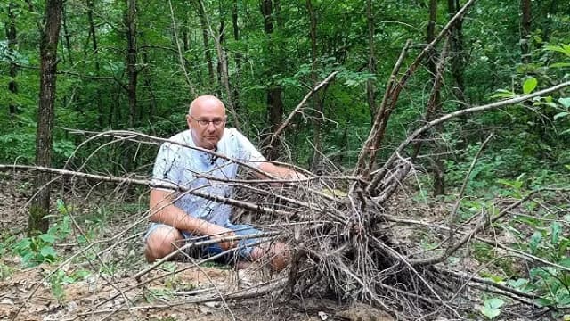 Skąd wziąć korzeń do akwarium? Odkryj najlepsze źródła i metody Skąd wziąć korzeń do akwarium? Odkryj najlepsze źródła i metody