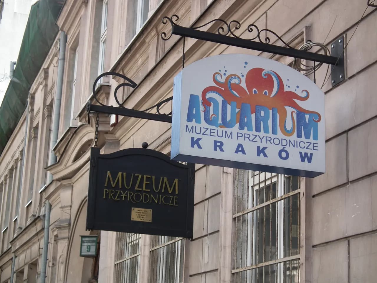 Największe polskie oceanarium w Krakowie - co warto zobaczyć? Największe polskie oceanarium w Krakowie - co warto zobaczyć?