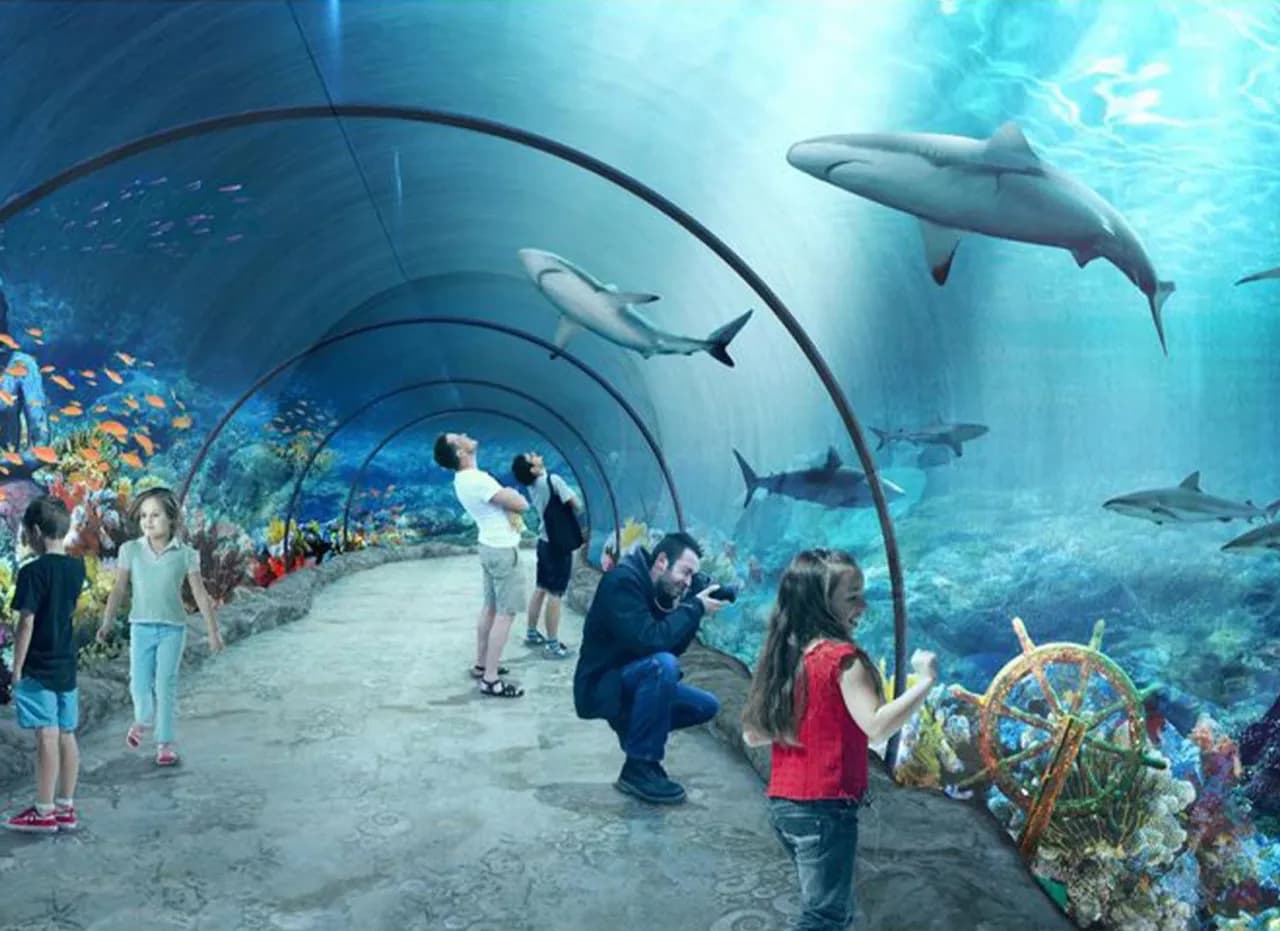 Największe oceanarium w Polsce Łódź – odkryj niezwykłe atrakcje Największe oceanarium w Polsce Łódź – odkryj niezwykłe atrakcje