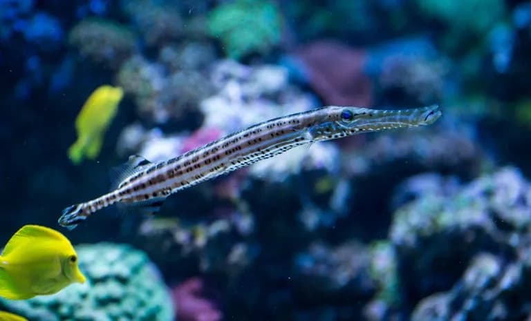 Największe oceanarium nad morzem: co warto wiedzieć o Gdyni i Gdańsku Największe oceanarium nad morzem: co warto wiedzieć o Gdyni i Gdańsku