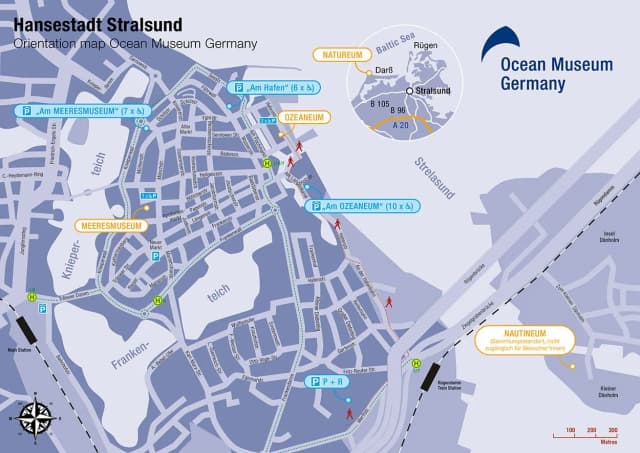 Ozeaneum w Stralsundzie: Fascynujące wystawy i praktyczne informacje Ozeaneum w Stralsundzie: Fascynujące wystawy i praktyczne informacje