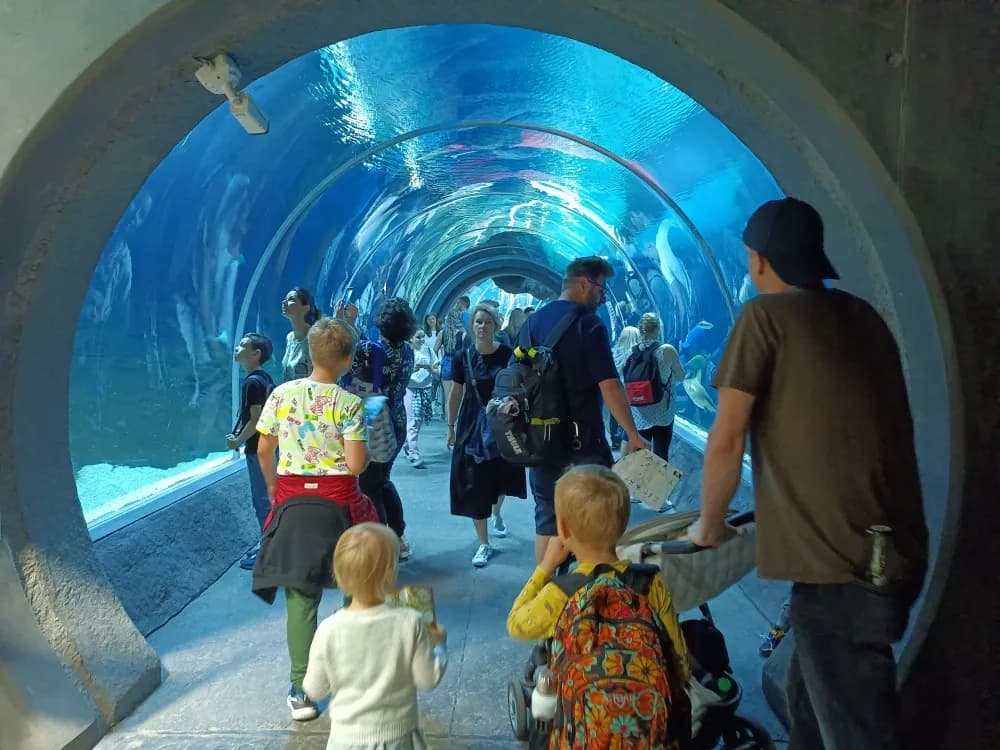 Oceanarium w Łodzi - Fascynujące atrakcje i edukacja dla każdego Oceanarium w Łodzi - Fascynujące atrakcje i edukacja dla każdego