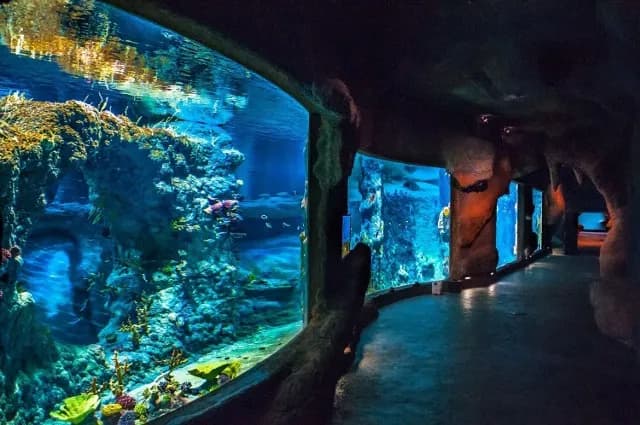 Oceanarium Świnoujście - co warto wiedzieć przed wizytą? Oceanarium Świnoujście - co warto wiedzieć przed wizytą?
