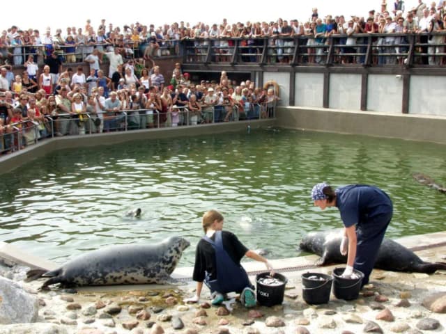 Oceanarium Hel - Fascynujące atrakcje i godziny otwarcia fokarium Oceanarium Hel - Fascynujące atrakcje i godziny otwarcia fokarium