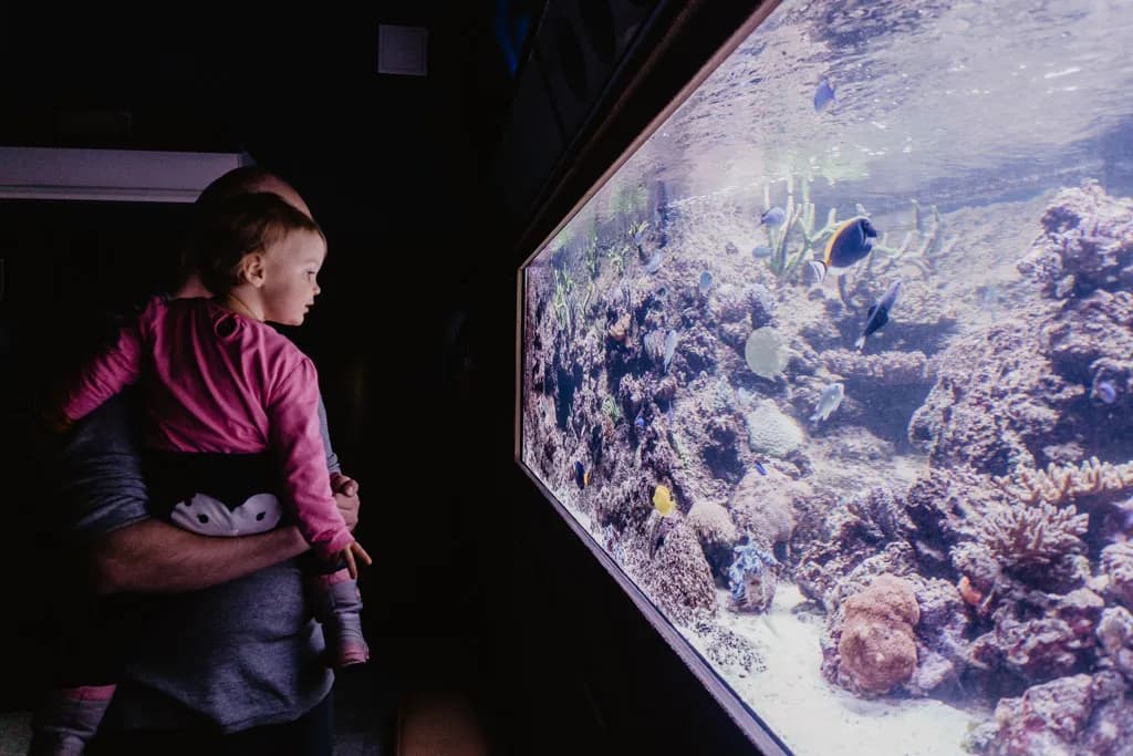 Odkryj niesamowite zdjęcia z Oceanarium Gdynia i jego eksponatów Odkryj niesamowite zdjęcia z Oceanarium Gdynia i jego eksponatów