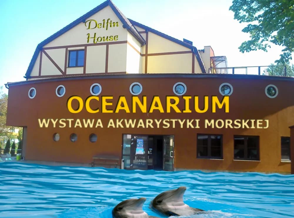 Łeba atrakcje oceanarium: co warto zobaczyć i dlaczego to miejsce zachwyca Łeba atrakcje oceanarium: co warto zobaczyć i dlaczego to miejsce zachwyca