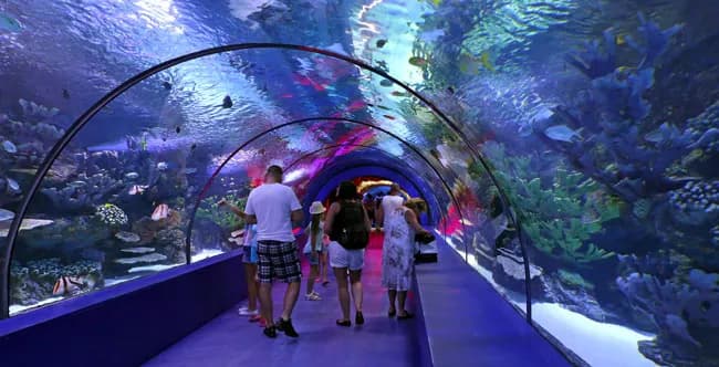 Oceanarium: Odkryj fascynujący świat morskich stworzeń w Polsce Oceanarium: Odkryj fascynujący świat morskich stworzeń w Polsce