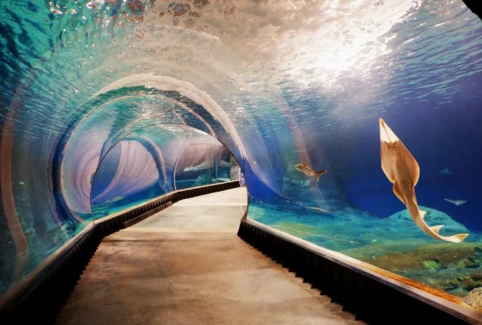 Hotele blisko oceanarium Wrocław – komfortowe noclegi w pobliżu Hotele blisko oceanarium Wrocław – komfortowe noclegi w pobliżu