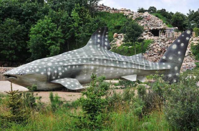 Oceanarium Władysławowo - Niezapomniane atrakcje i edukacja dla każdego Oceanarium Władysławowo - Niezapomniane atrakcje i edukacja dla każdego