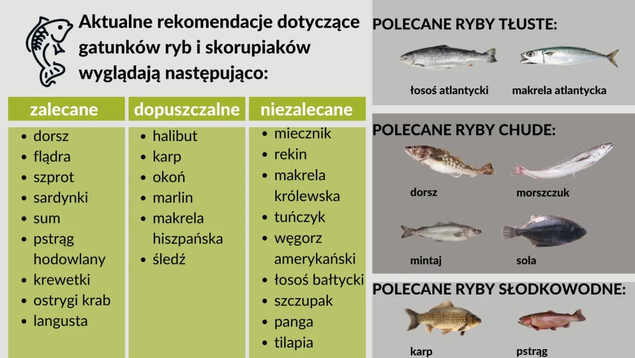 Jakie rybki dla dziecka wybrać? Bezpieczne opcje dla zdrowia i radości Jakie rybki dla dziecka wybrać? Bezpieczne opcje dla zdrowia i radości