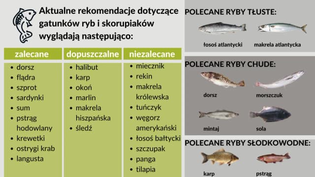 Jakie rybki dla dziecka wybrać? Bezpieczne opcje dla zdrowia i radości Jakie rybki dla dziecka wybrać? Bezpieczne opcje dla zdrowia i radości