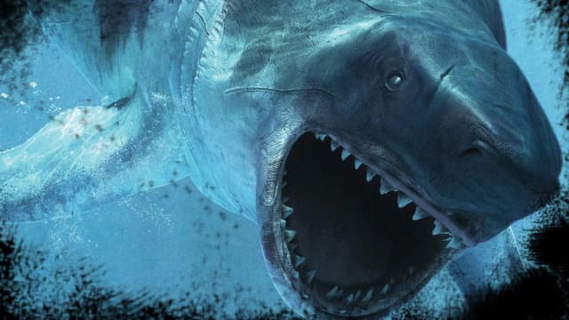 Prehistoryczne oceanarium: odkryj fascynujący świat morskich gadów Prehistoryczne oceanarium: odkryj fascynujący świat morskich gadów